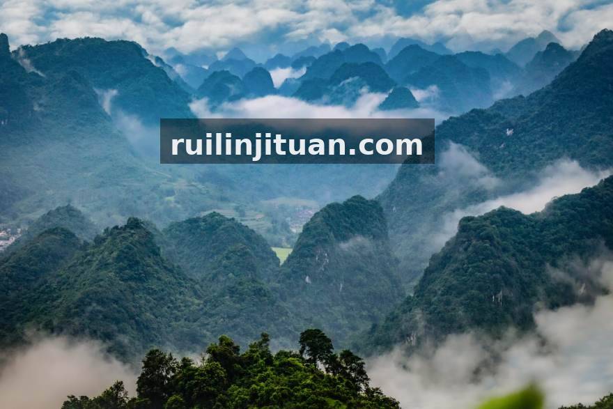 YY体育数据盘点：当前赛季足球门将出击范围与防线站位的数据关联